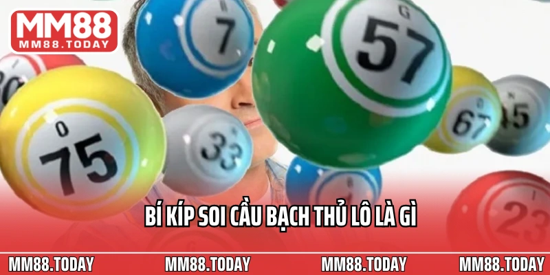 Bạch Thủ Lô Là Gì? Kinh Nghiệm Chọn Số Chuẩn Và Nuôi Lô Hiệu Quả - lavor
