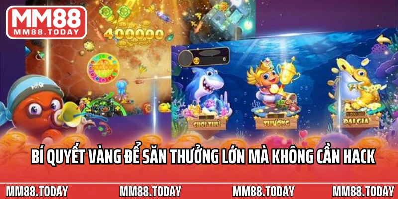 Nên Sử Dụng Tool Bắn Cá Không Và Mẹo Chơi Hiệu Quả Tương Tự Hack - lavor
