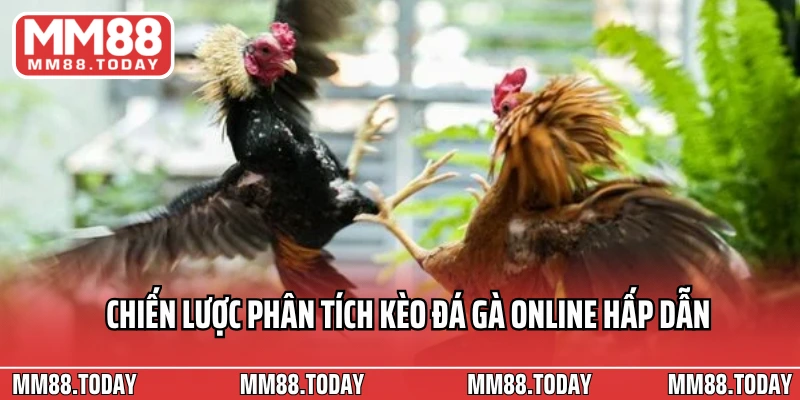 Sân Chơi Đá Gà Online Nơi Hội Tụ Những Chiến Kê Máu Chiến Toàn Cầu - lavor