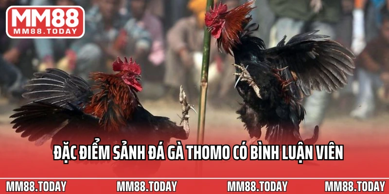Trải Nghiệm Cá Cược Sôi Động Đá Gà Thomo Có Bình Luận Viên Tại MM88 - lavor