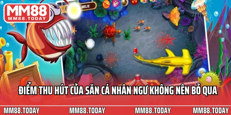 Khám Phá Đại Dương Huyền Bí Với Săn Cá Nhân Ngư Top 1 Thịnh Hành - lavor