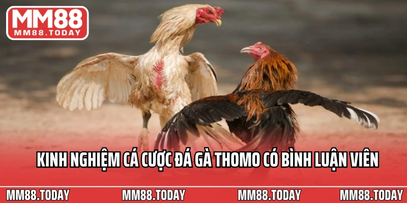 Trải Nghiệm Cá Cược Sôi Động Đá Gà Thomo Có Bình Luận Viên Tại MM88 - lavor