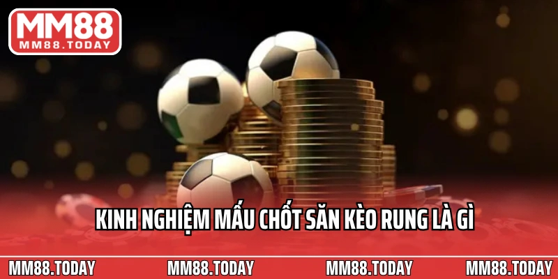 Kèo Rung Là Gì? Mẹo Săn Kèo Rung Hiệu Quả Từ Chuyên Gia - lavor