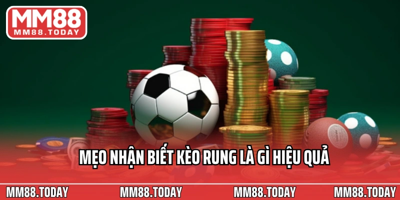 Kèo Rung Là Gì? Mẹo Săn Kèo Rung Hiệu Quả Từ Chuyên Gia - lavor