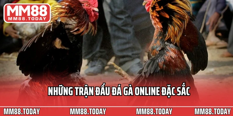 Sân Chơi Đá Gà Online Nơi Hội Tụ Những Chiến Kê Máu Chiến Toàn Cầu - lavor