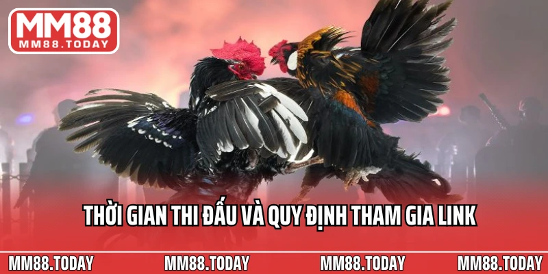 Xem Link Trực Tiếp Đá Gà Thomo Mới Nhất Cập Nhật Trường Quốc Tế - lavor