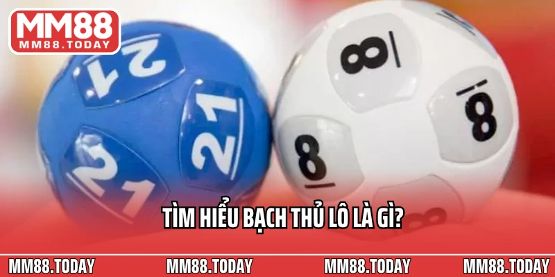 Bạch Thủ Lô Là Gì? Kinh Nghiệm Chọn Số Chuẩn Và Nuôi Lô Hiệu Quả - lavor